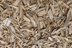 biomass boilers Pentreuchaf